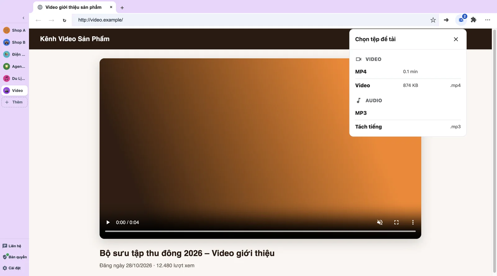 Danh sách tệp video, âm thanh và phụ đề có thể tải trong LiBrowser